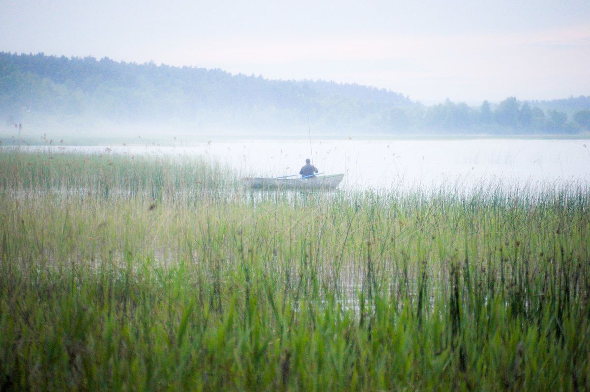 туман над озером - Тася Тыжфотографиня