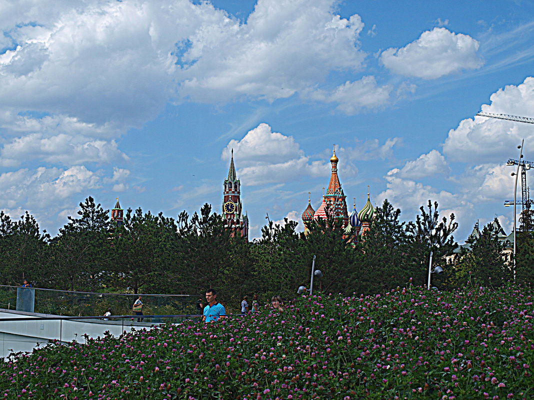 Вид с парка"  Зарядье". - Владимир Драгунский