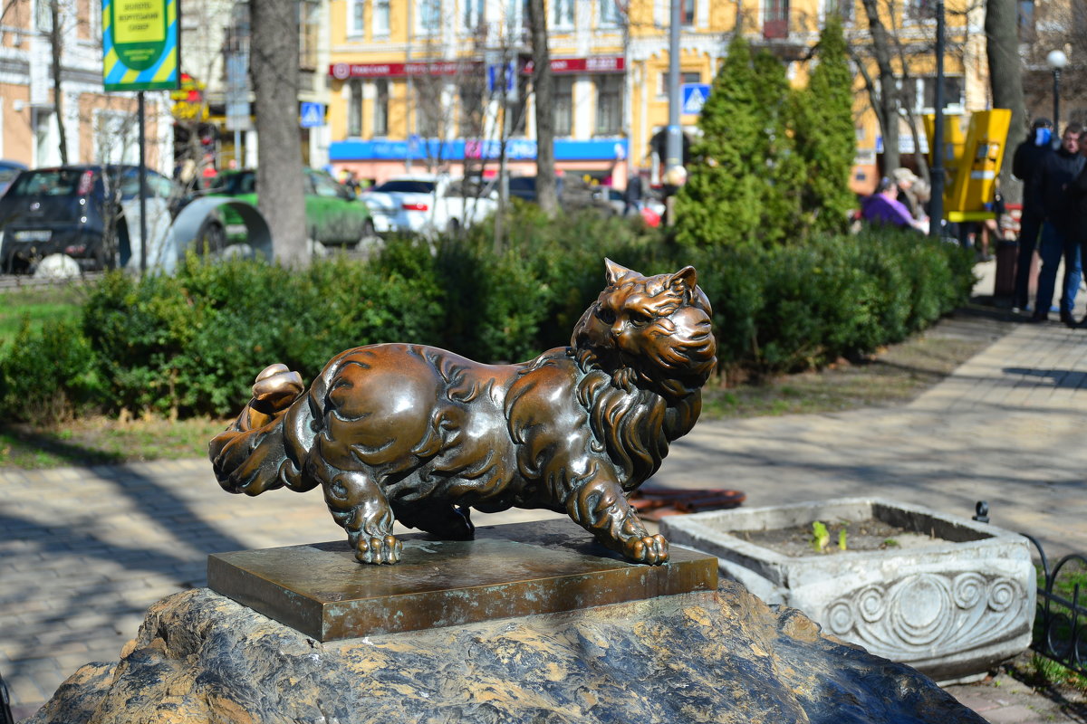 Памятник коту Пантюше - Тамара Бедай 