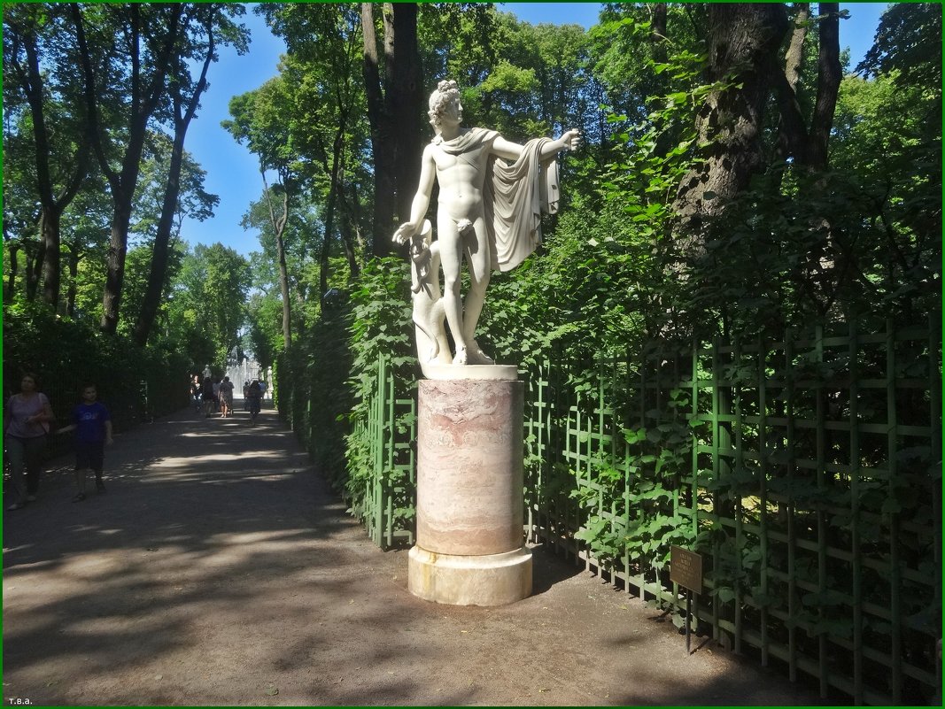 Аполлон. Статуя Летнего сада - Вера 