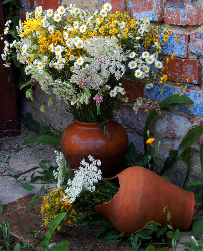 луговые цветы - Alisa Koteva 