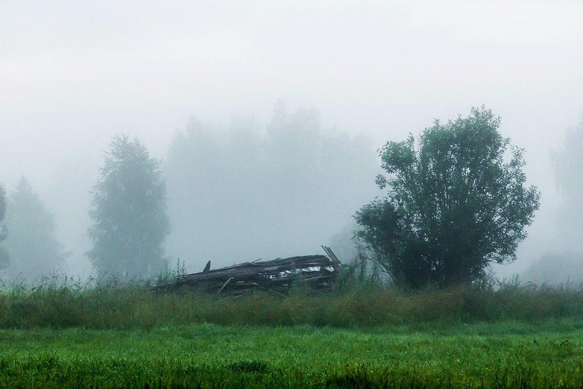 В тумане - Александр 