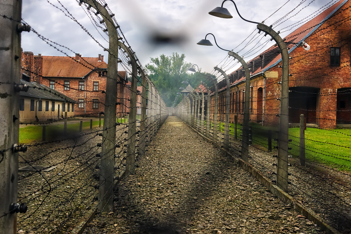 Auschwitz-Birkenau.. - Tatsiana Latushko