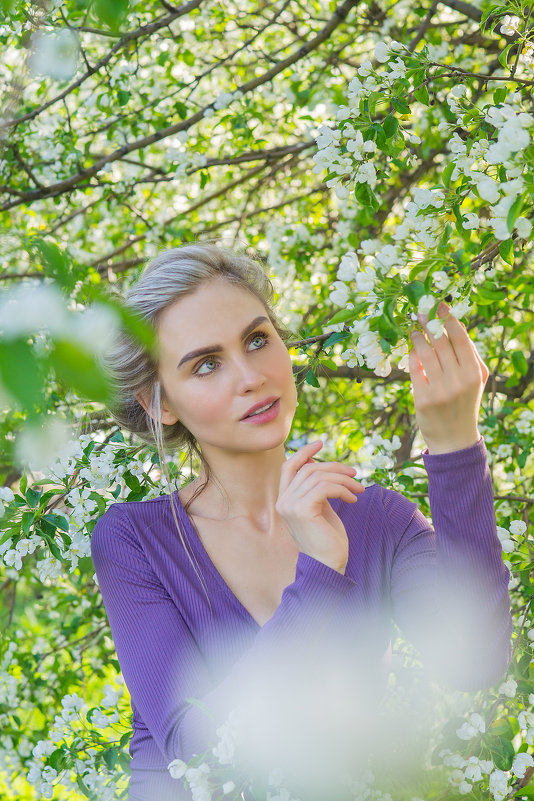Яблони в цвету - Анастасия Сапронова