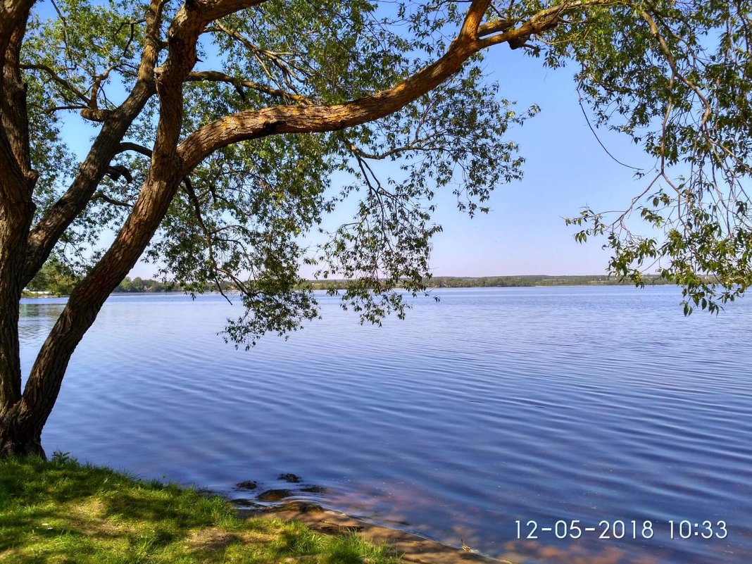 Утро. Лепельское озеро - Марина Ворошко (Митьковец)