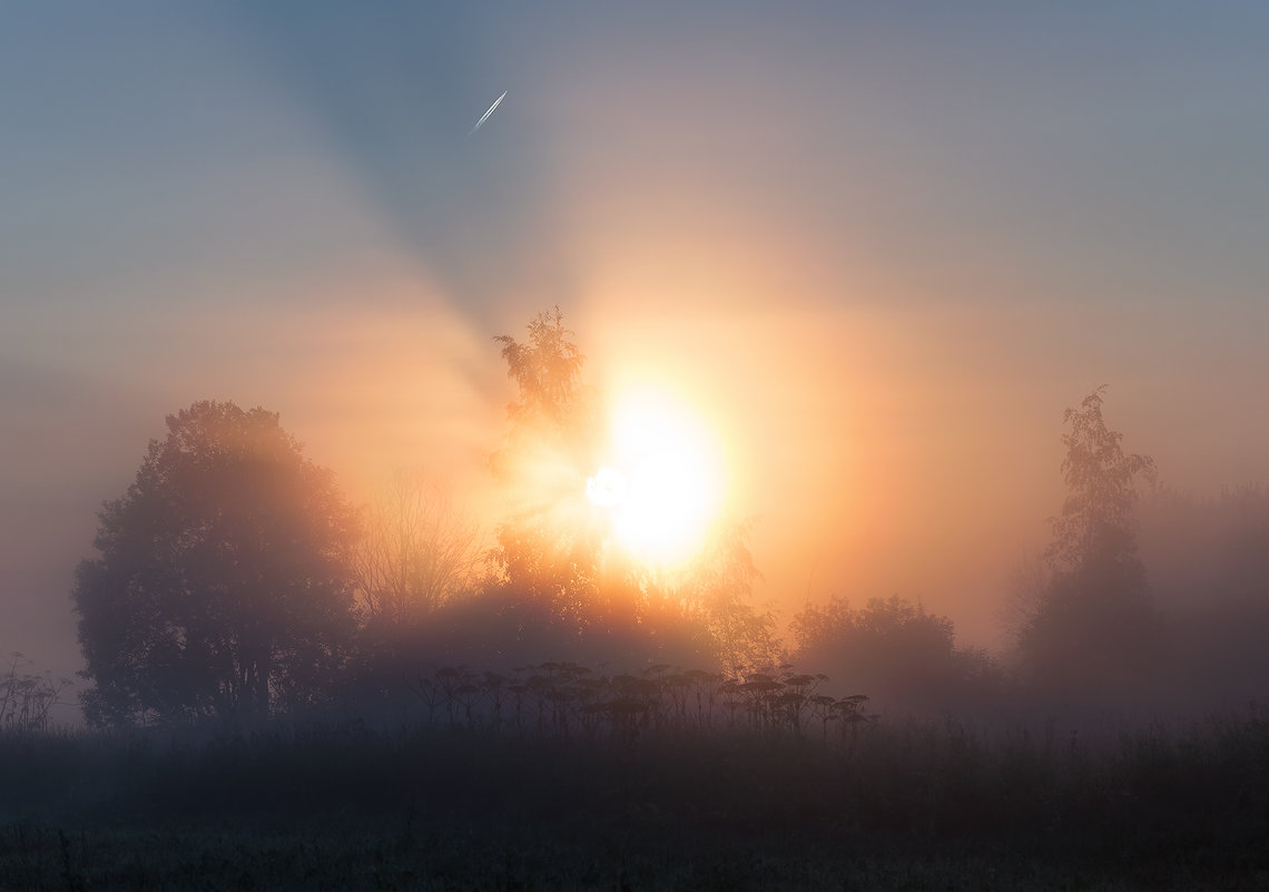 туманное утро августа - Эльмира Суворова
