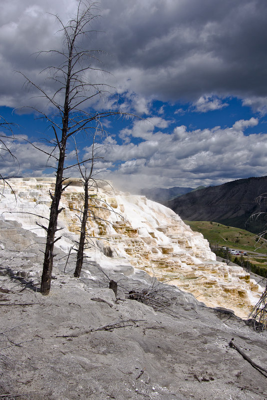 Йеллоустоун. Mammoth Hot Springs. - Александр Крупский