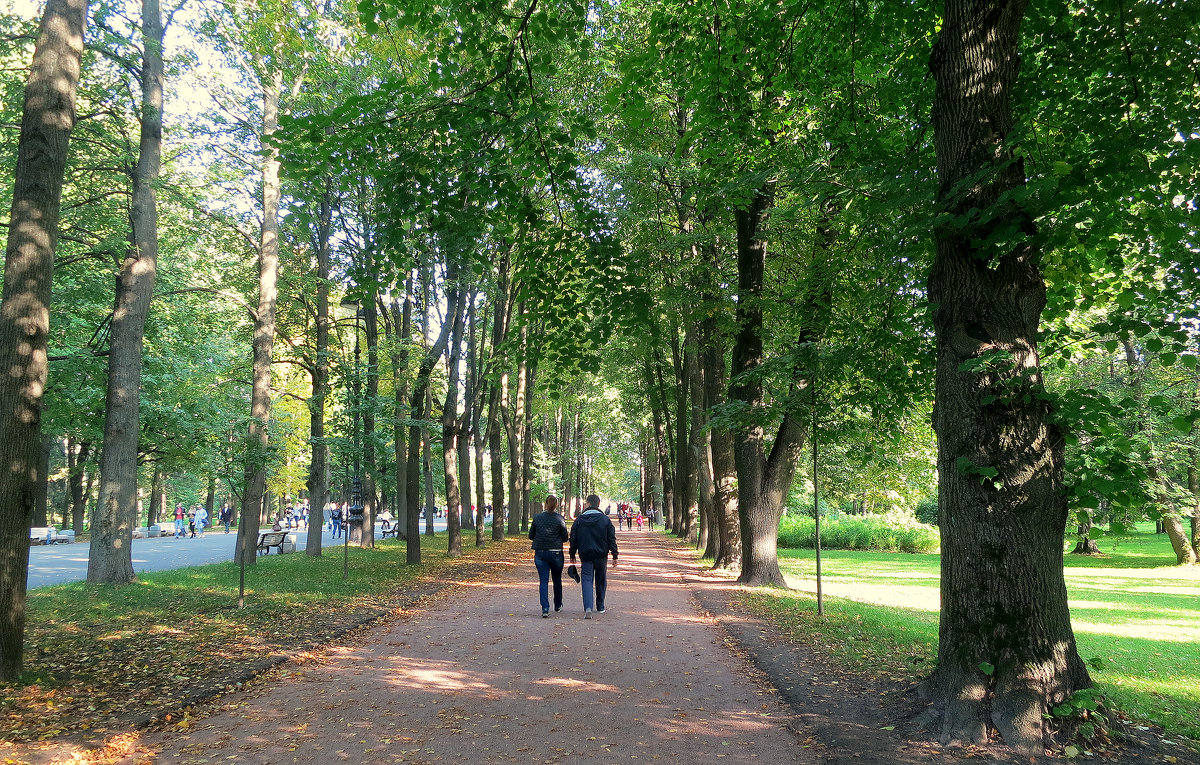 Дорога в осень... - Валентина Жукова