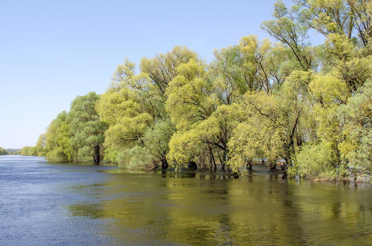 В воде - Сергей Тарабара