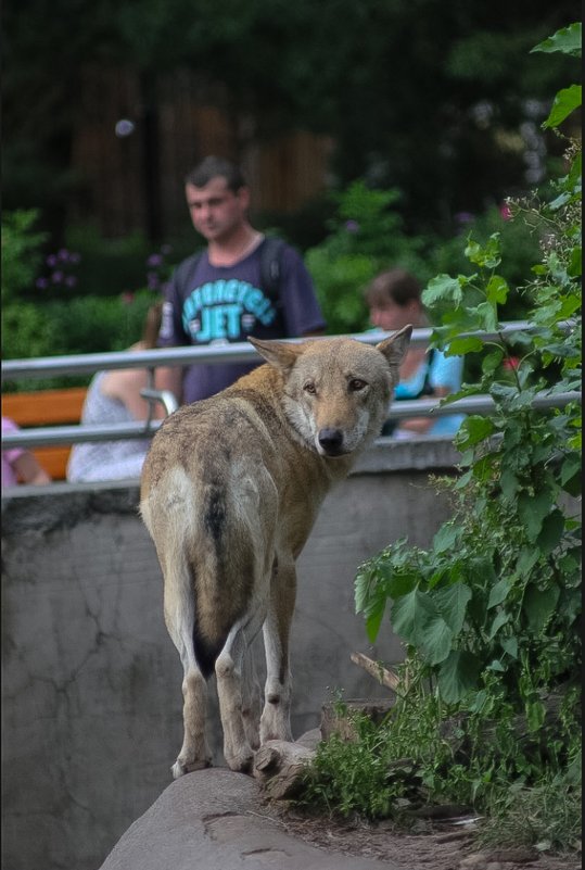 ну ты это... заходи если что... - Сергей Францев