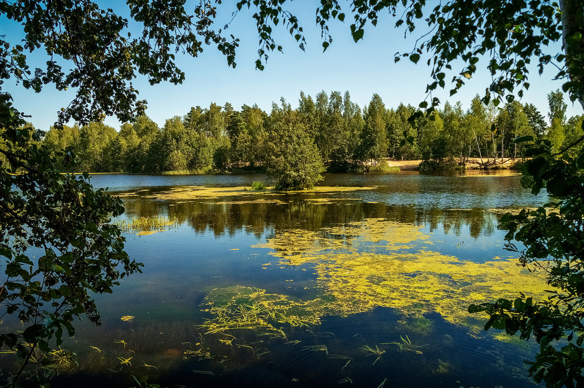 Река Лужня