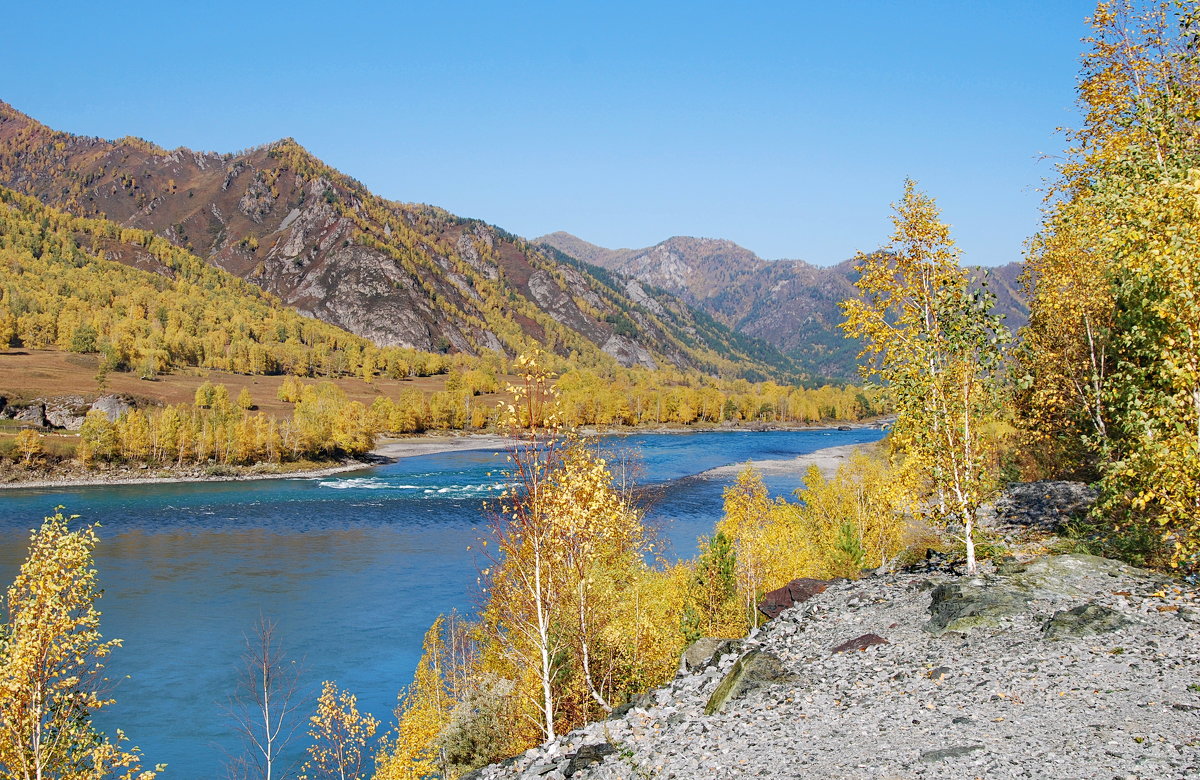 Катунь осенью горный Алтай
