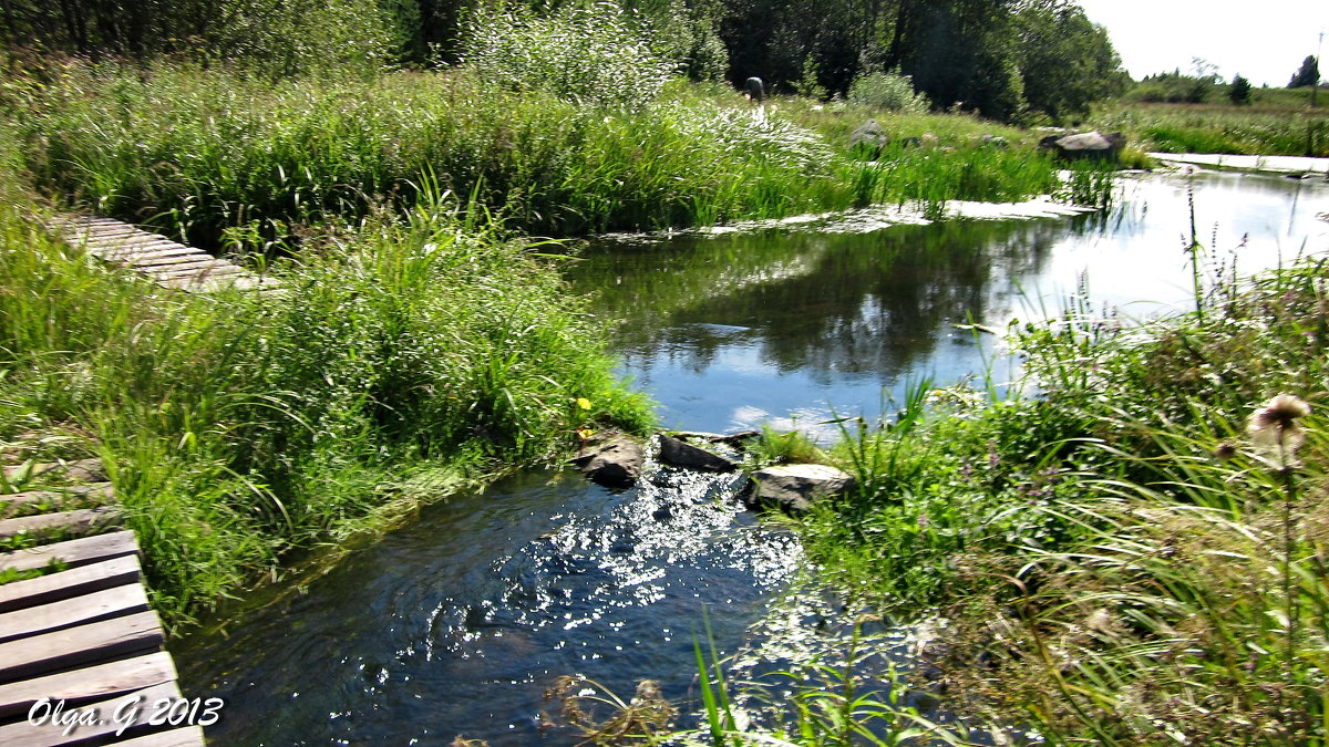 Река Бродовка - OLLES 