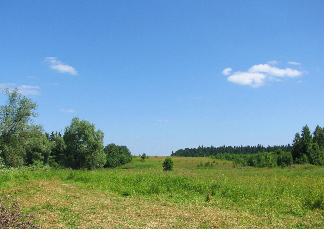 Красота природы - Людмила Смородинская