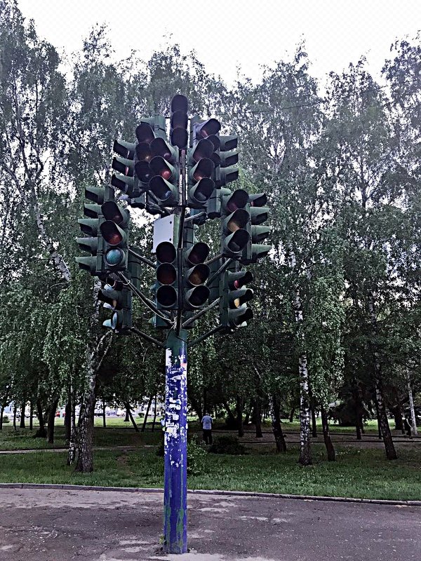 36 часов в  Пензе  "Светофорное  дерево" - Виталий Селиванов 