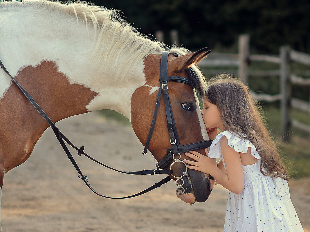 Девочка с лошадкой - Виктория Дубровская