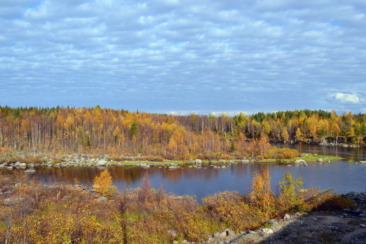 Осенние краски - Ольга 