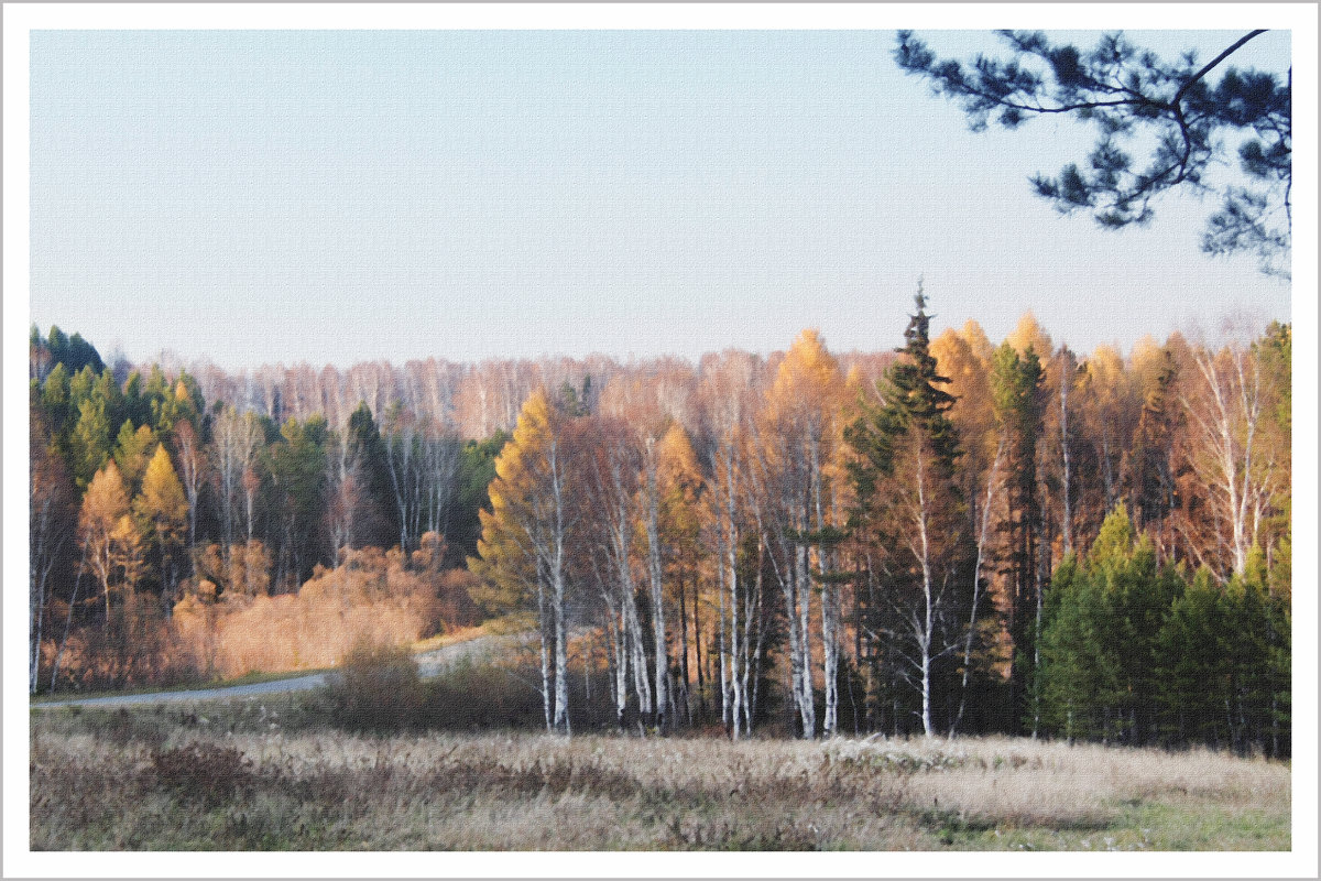 Осеннее настроение - Грег 