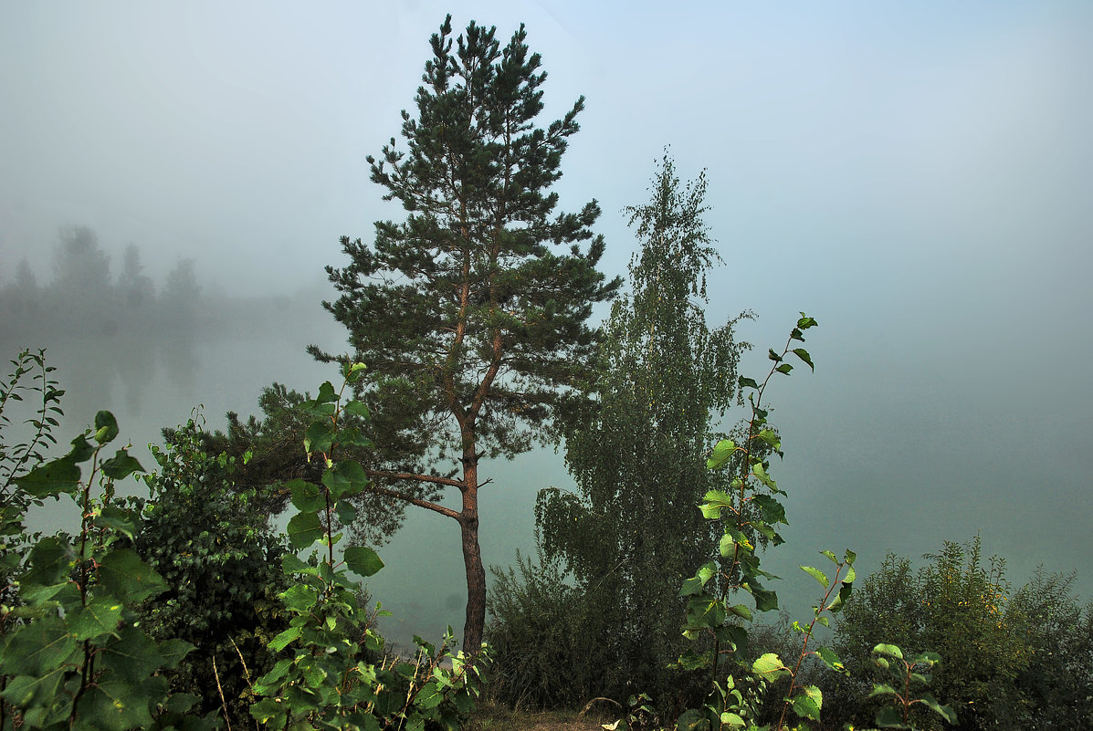 Туманом озеро одето - sergej-smv 