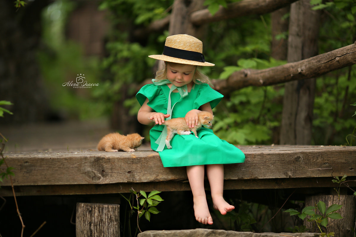 3 котёнка - Alena Isaeva