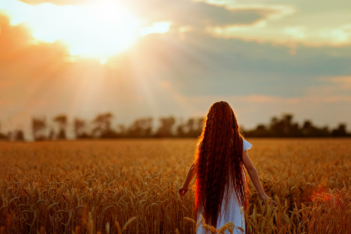 В пшеничном поле - Оксана Осенняя