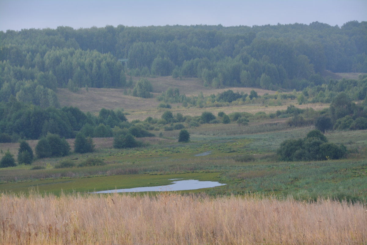 Панорама - Ольга 