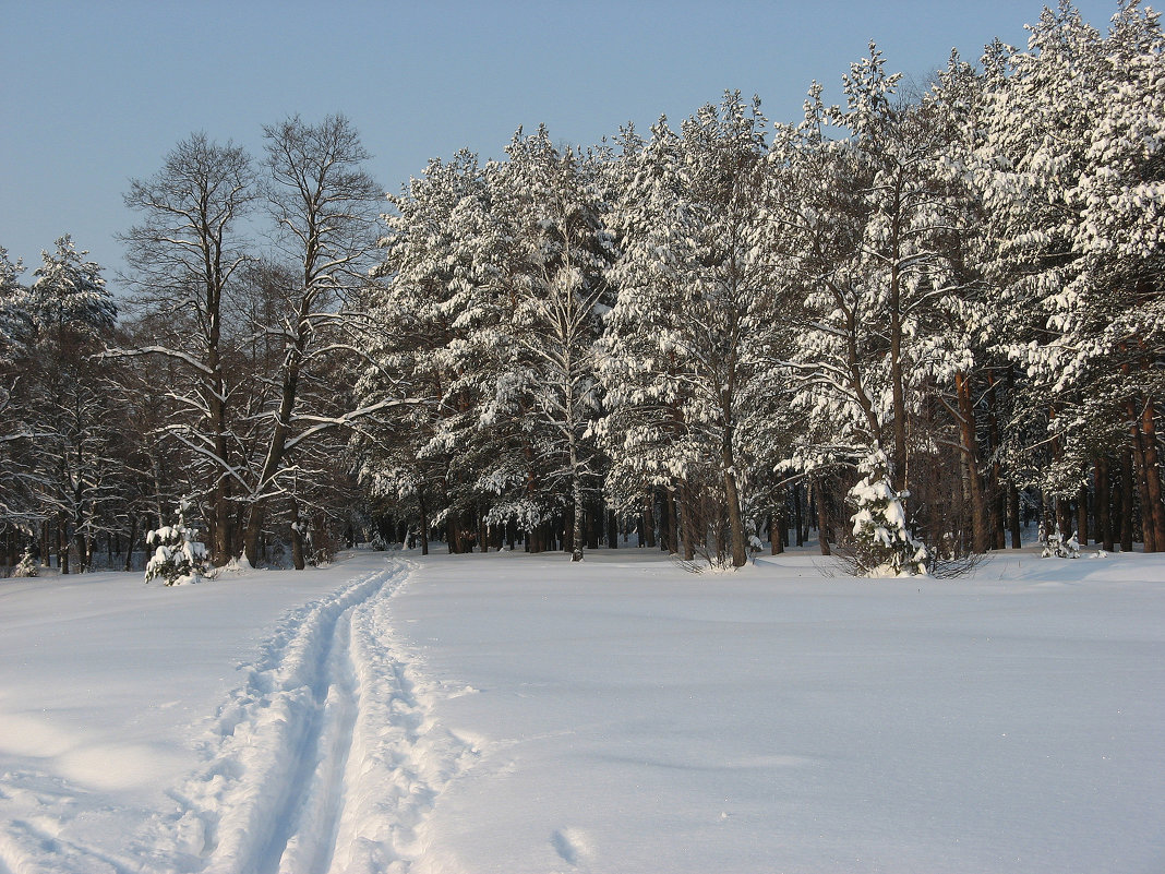 Зима, Рекшино, Нижегородской области - Сергей 