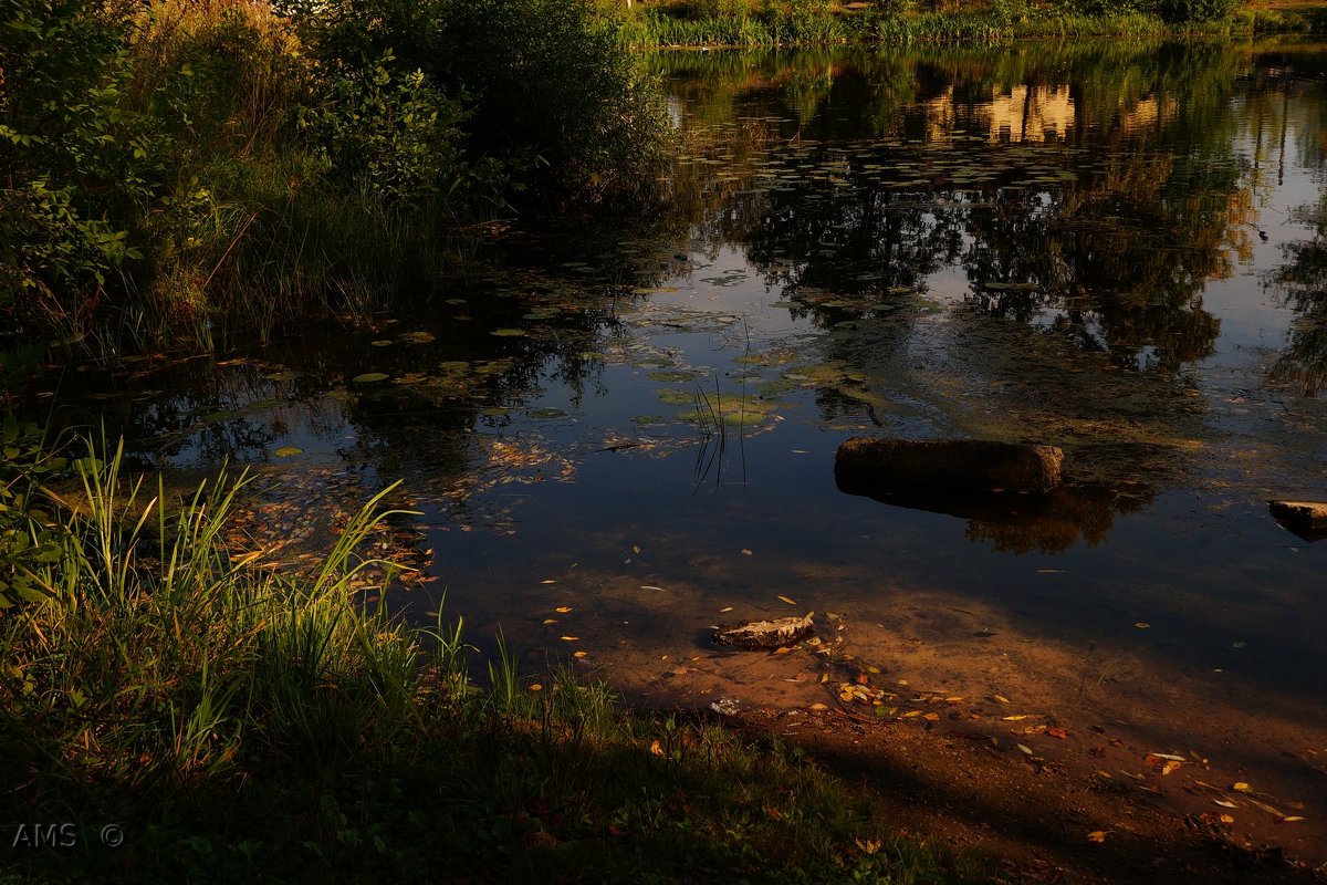 Прудик - kolyeretka 