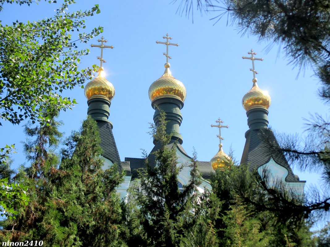 Купола Свято-Троицкого храма - Нина Бутко