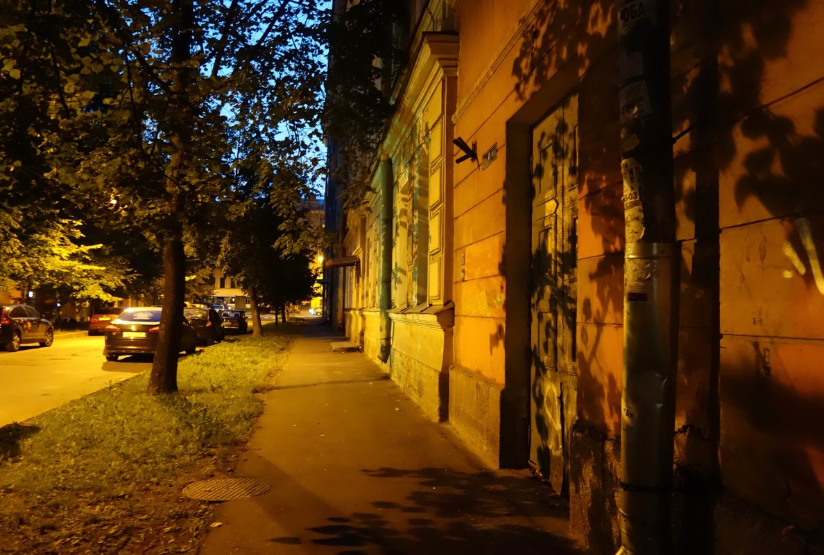 Вечерняя улица - Елена 
