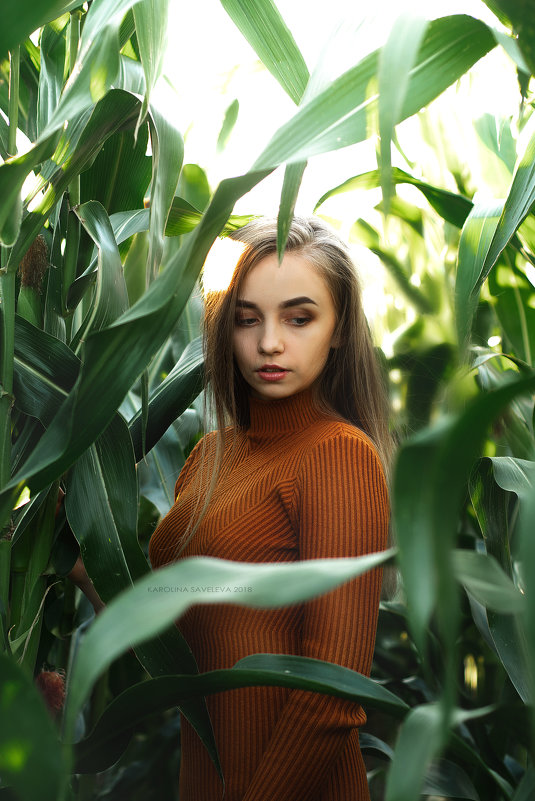 Царство кукурузы - Каролина Савельева