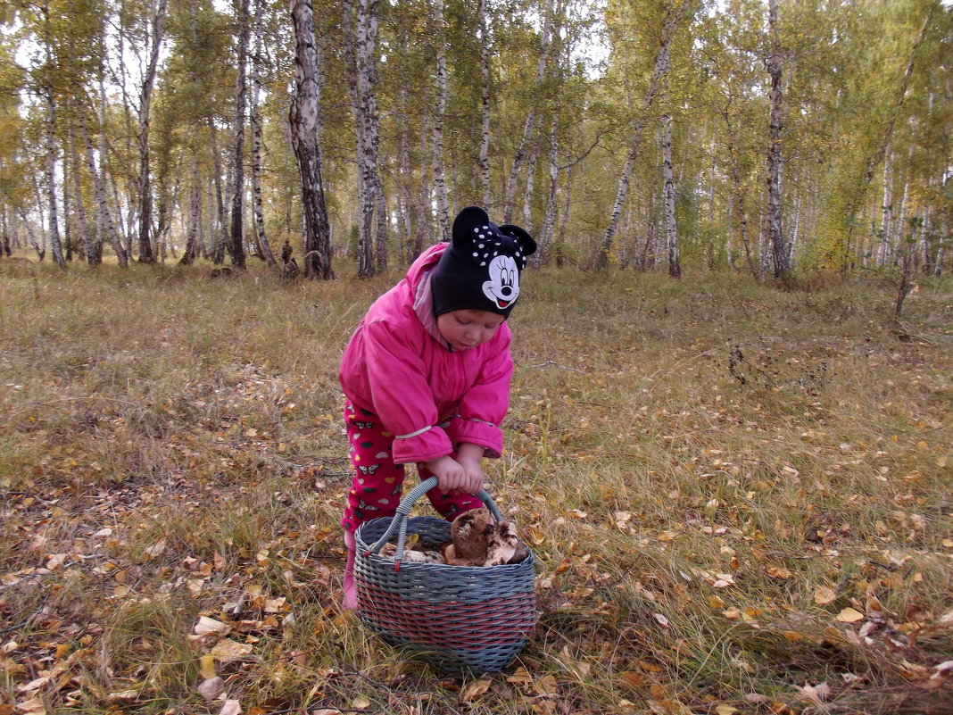 В осеннем лесу... - Светлана Рябова-Шатунова