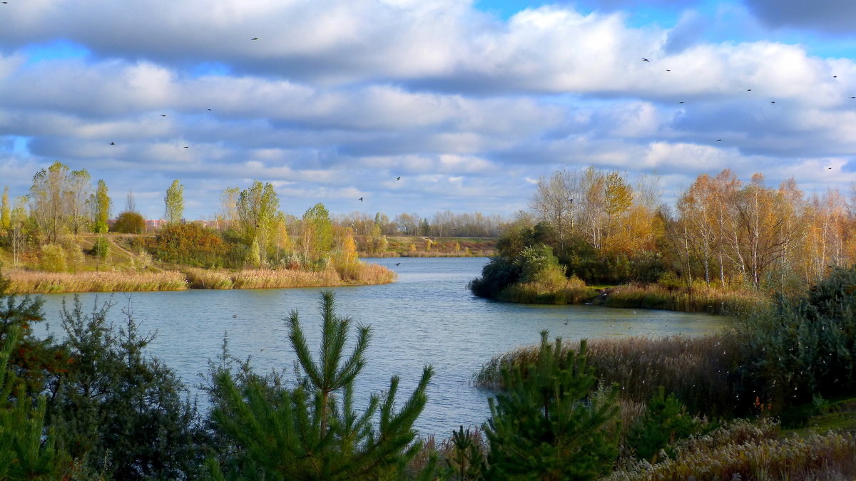 озеро около Осовцов - Александр Прокудин