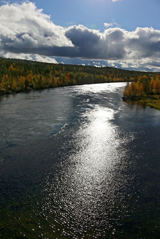 Серебряная река - Ольга 