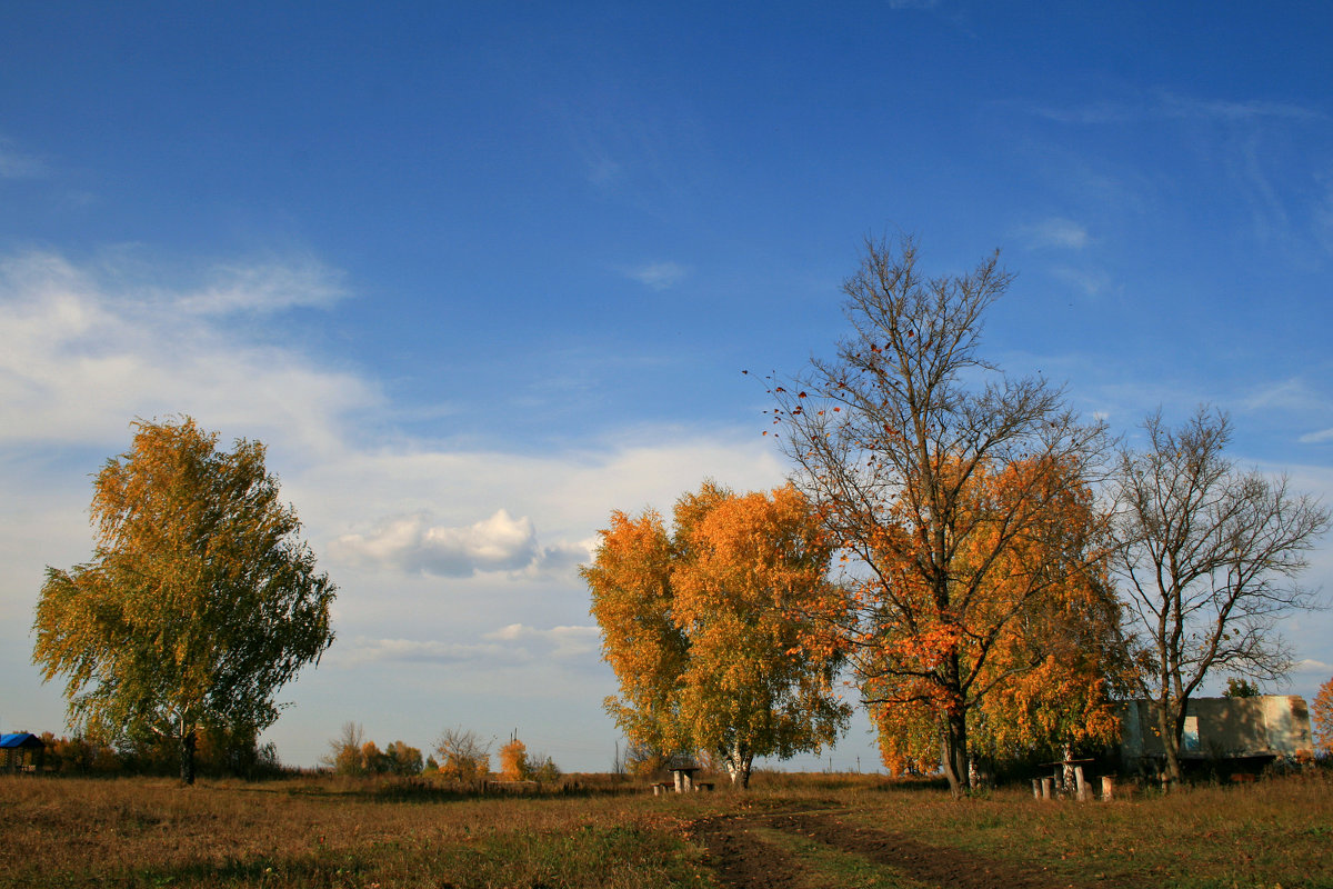 В сентябре играет ветерок с листьями опавшими красиво ... - Евгений Юрков