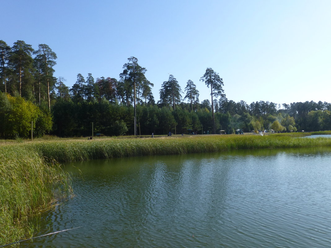 Озеро Лебяжье - Наиля 