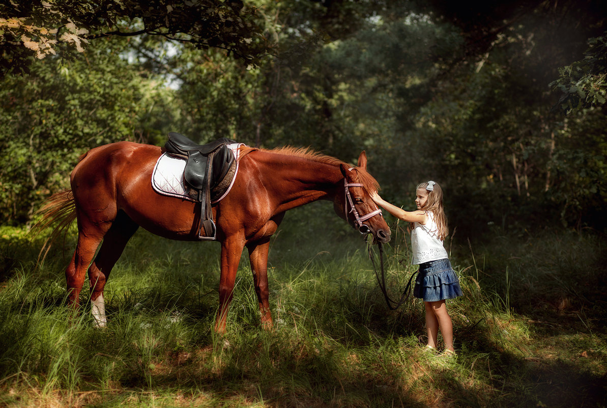 Любовь к лошадям:) - Анастасия Дробышевская