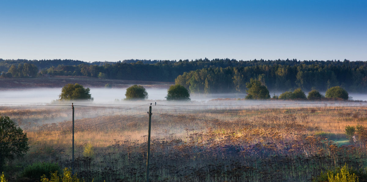 Пейзаж с туманом - Владимир Буравкин