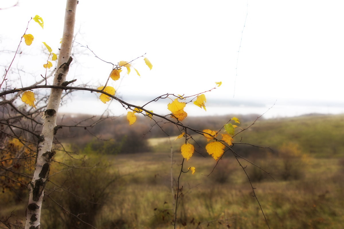 Fall mood - Юрий Сытник