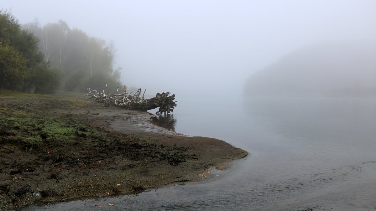 Туман на левом берегу Катуни - Галина Козлова 