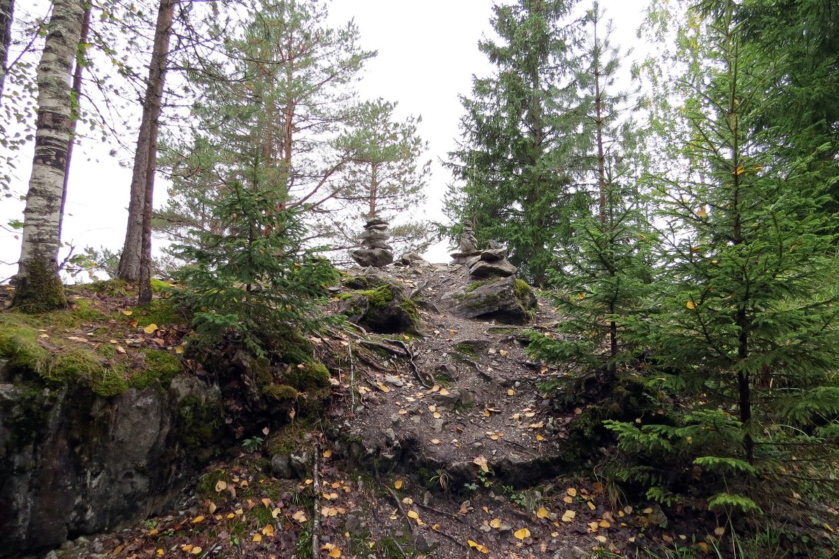 Осень в лесу - Вера Щукина