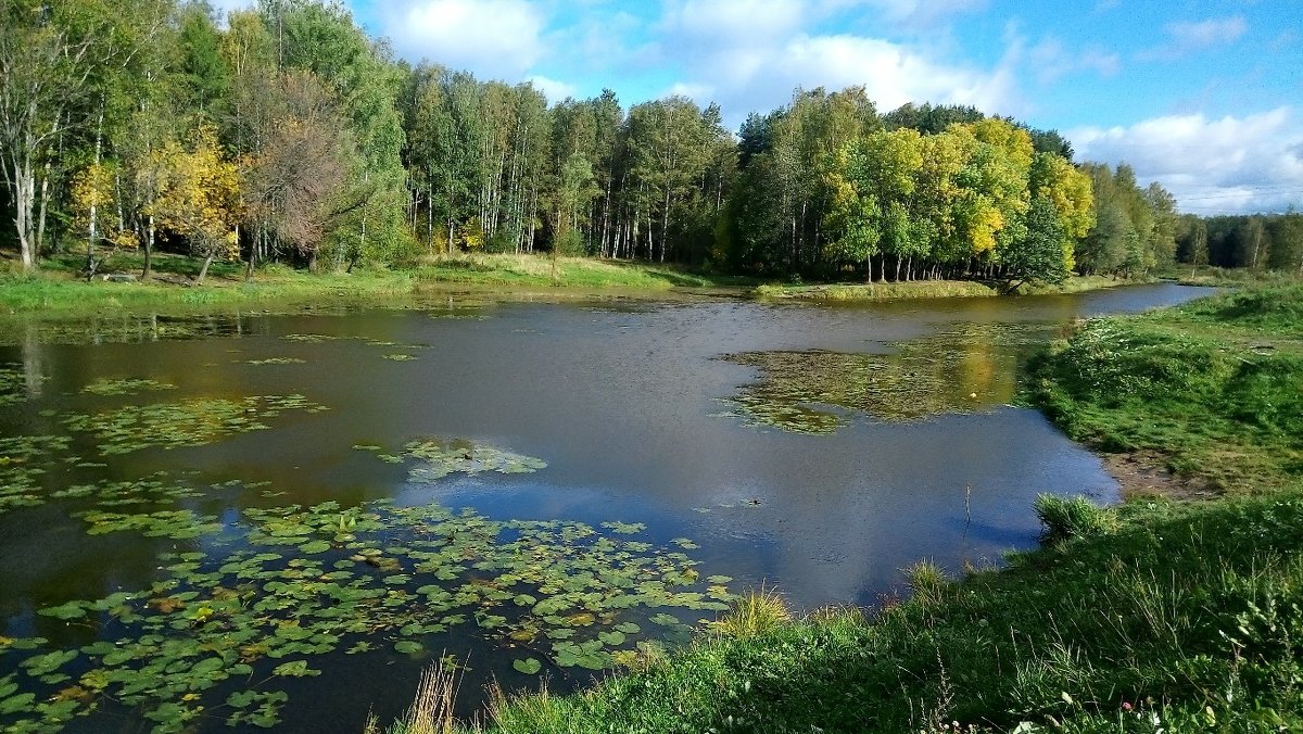 Солнечный денёк в лесопарке  в конце сентября - Елена Павлова (Смолова)