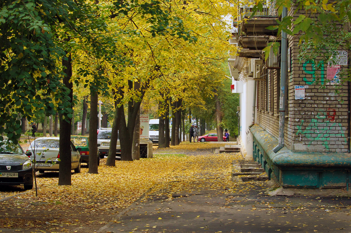 Осенние листья. - barsuk lesnoi
