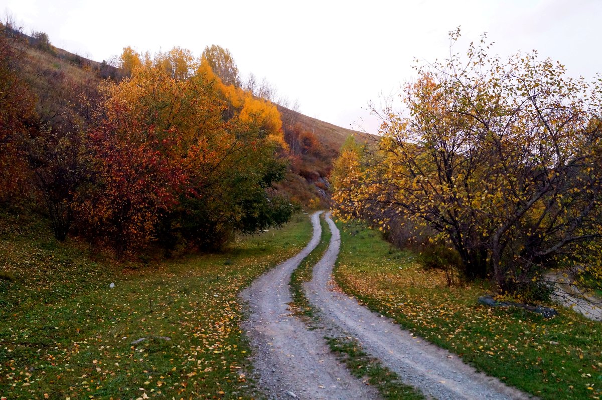 Дорога в осень - Кристина Воробьева