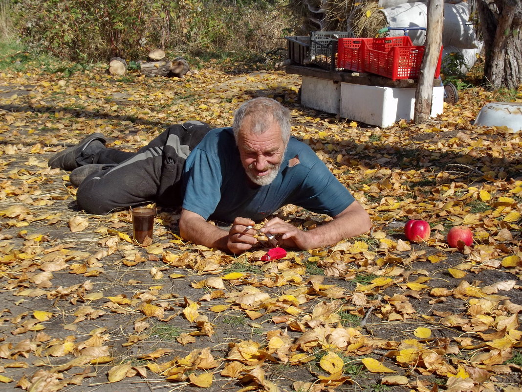 На ковре из желтых листьев.... - Светлана Рябова-Шатунова