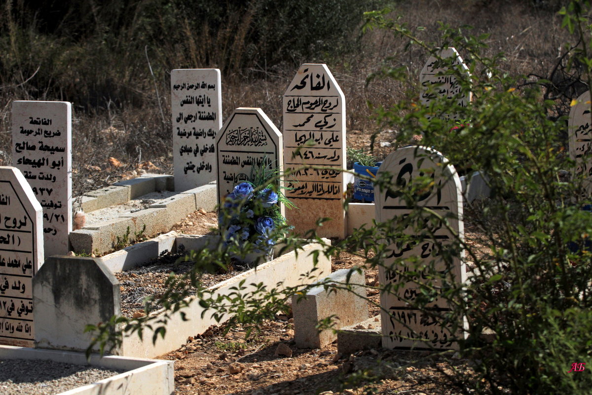 Мусульманское кладбище - Аркадий Басович