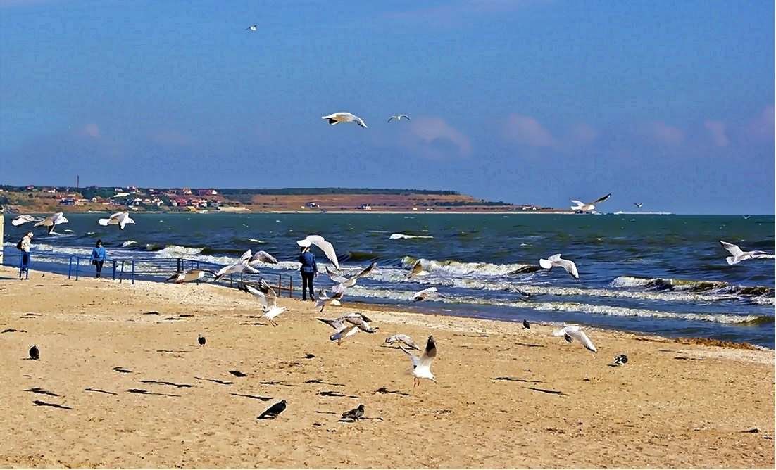 Черное море мое - Александр Корчемный