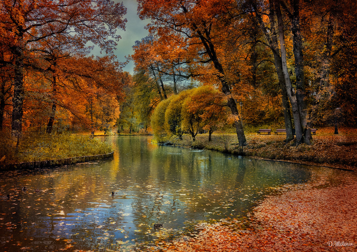 Осень в парке - Дмитрий Motorin