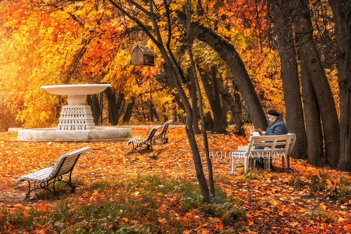 нескучный сад в москве осенью