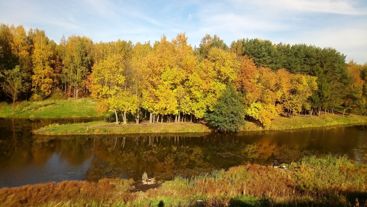 Осень листьями метёт… вьюгой золотистою… Листьев медленный полёт… да на воду чистую… - Елена Павлова (Смолова)